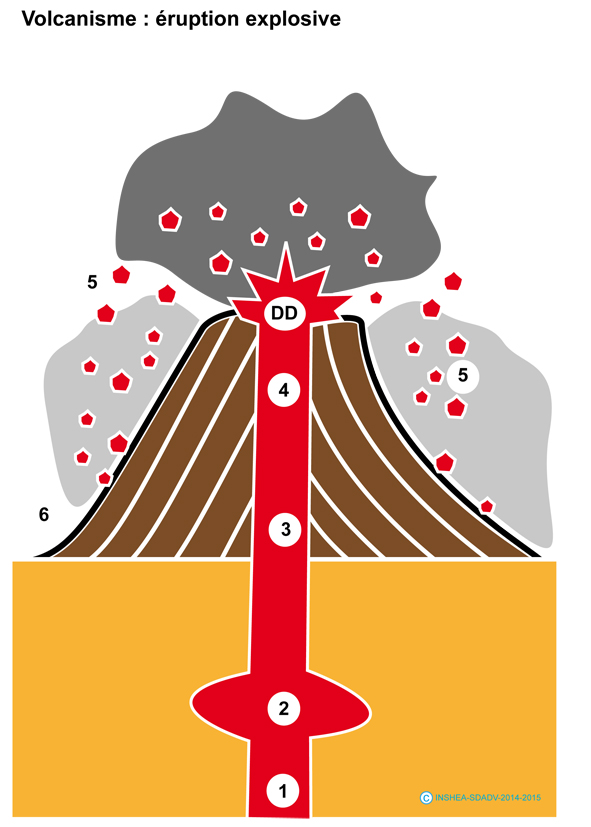 Image de la fiche SDADV